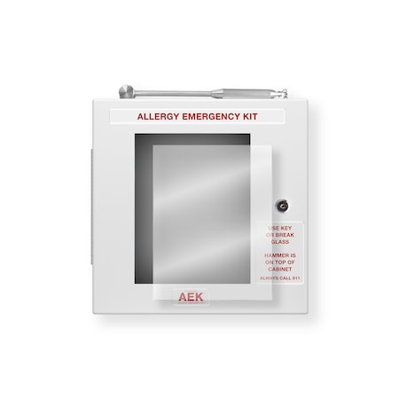 Aek Replacement Window for Allergy Emergency Kit Lunchroom  Corridor Cabinet EN9346